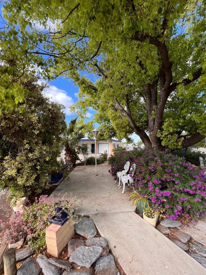 Sturt Motel Balranald Exterior foto